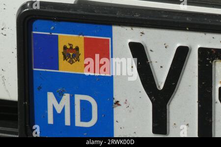 Köln, Deutschland. September 2023. Länderkennzeichen, Autokennzeichen der Republik Moldau auf einem Auto, blaues Feld mit der Flagge der Republik Moldau und dem Nationalkennzeichen Kredit: Horst Galuschka/dpa/Horst Galuschka dpa/Alamy Live News Stockfoto