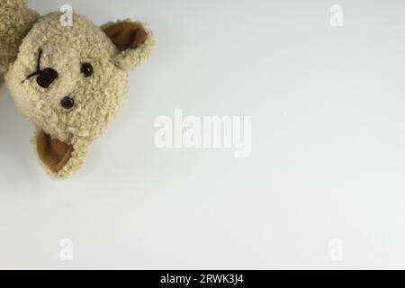 Teddy-Porträt Stockfoto