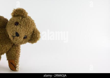 Teddy-Porträt Stockfoto