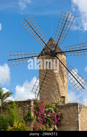 Windmühle in Pollenca auf Mallorca in Spanien Stockfoto