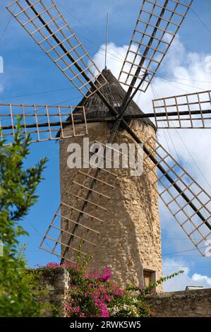 Windmühle in Pollenca auf Mallorca in Spanien Stockfoto