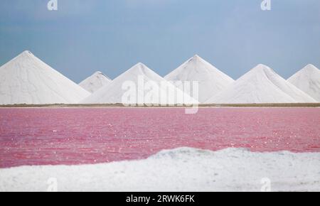 Salzverdampfungspeiche in Bonaire, ABC-Inseln Stockfoto