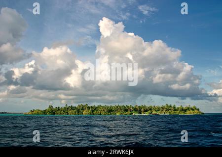 Embudu Village, Malediven, South Male Atoll, Indischer Ozean Stockfoto
