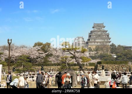 Touristen auf Himeji Castle während der Kirschblütensaison Stockfoto