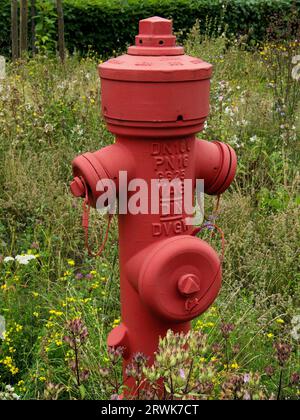 Roter Oberflächenhydrant, Hintergrund bunte Wiese Stockfoto