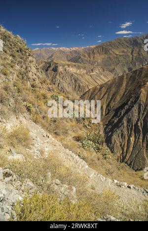 Malerische Aussicht ariden Landschaft rund um Canon del Colca, berühmte touristische Destination in Peru Stockfoto