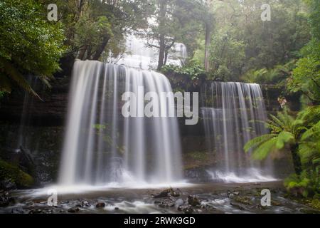 Russell fällt in Mt Field National Park an einem kalten Wintermorgen in Tasmanien, Australien Stockfoto