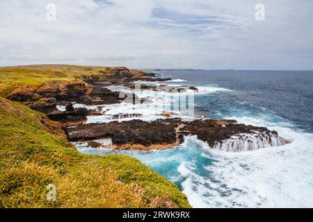 Die Nobbies und die umliegende Landschaft während der Paarungszeit für Möwen an einem warmen Frühlingstag in Philip Island, Victoria, Australien Stockfoto