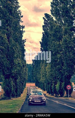 Fiat 500 auf einer alten, von Bäumen gesäumten Route National Road im Nordosten Frankreichs Stockfoto