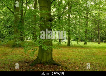 Im Nordosten des Stadtzentrums von Hof an der Saale in Bayern liegt der Stadtpark Theresienstein. Die Anfänge des Parks reichen bis in die Vergangenheit zurück Stockfoto