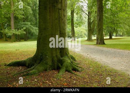 Im Nordosten des Stadtzentrums von Hof an der Saale in Bayern liegt der Stadtpark Theresienstein. Die Anfänge des Parks reichen bis in die Vergangenheit zurück Stockfoto