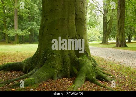 Im Nordosten des Stadtzentrums von Hof an der Saale in Bayern liegt der Stadtpark Theresienstein. Die Anfänge des Parks reichen bis in die Vergangenheit zurück Stockfoto