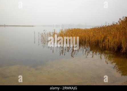 Die Insel Ummanz, Rügen, die auf dem Kubitzer und Schaproder Bodden liegt, ist schließlich die viertgrößte Insel in Mecklenburg-Vorpommern mit Stockfoto