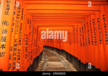 Rote Torii-Tore im Fushimi-Inari-Schrein in Kyoto, Japan - Übersetzung des Schreibens: Hoffnung auf Glück und Glück Stockfoto