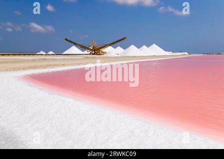 Salzverdampfungspeiche in Bonaire, ABC-Inseln Stockfoto