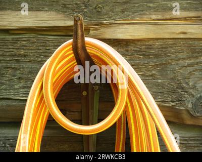 Orangegelber Gartenschlauch, aufgehängt vor einer Holzwand, Detail Stockfoto