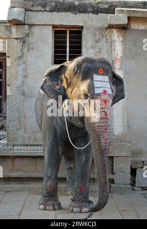 Gemalter Elefant im Tempel, Hampi, Karnataka, Südindien Stockfoto