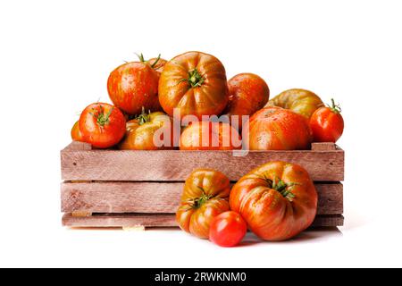 Verschiedene Tomaten in rustikaler Kiste. Isoliert auf weißem Hintergrund Stockfoto