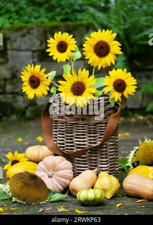 Herbstblumenarrangement mit gelben Sonnenblumen in einem rustikalen Korb aus Korbgeflecht und vielen verschiedenen Kürbissen. Floristik- oder Gartenkonzept. Stockfoto