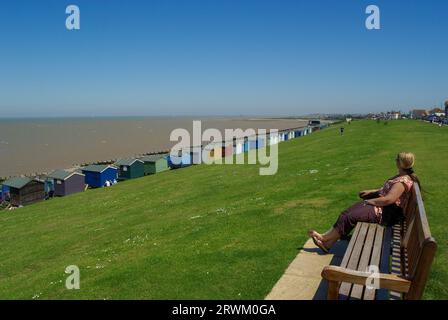 Tankerton Beach kleine Häuser an Tankerton Hängen an der Küste von Whitstable, Kent, Großbritannien. Erhöhte Holzhütten mit Meerblick an einem sonnigen Tag mit blauem Himmel Stockfoto