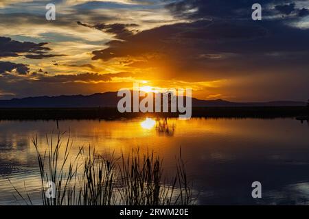 Die untergehende Sonne erleuchtet den Himmel über Antelope Island, von Farmington Bay Waterfowl Management Area, Farmington, Davis County, Utah, USA aus gesehen. Stockfoto