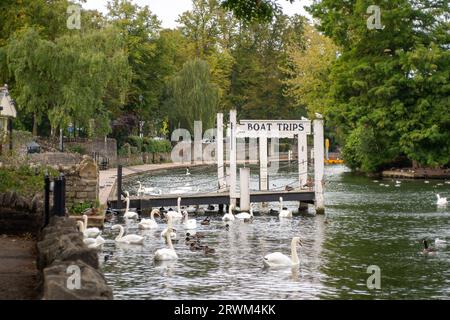 Windsor, Berkshire, Großbritannien. September 2023. Heute Morgen war es von der Themse verlassen, um in Windsor, Berkshire, einen langsamen und windigen Start in den Tag zu erleben. Heute gibt es für London und den Südosten ein „Met Office Yellow Weather“ für starke Regenfälle. Quelle: Maureen McLean/Alamy Live News Stockfoto