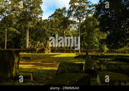 Baphuon Tempel im goldenen Licht des frühen morgens durch Bäume gesehen. Geschliffene Steine sind im Vordergrund verstreut. Stockfoto