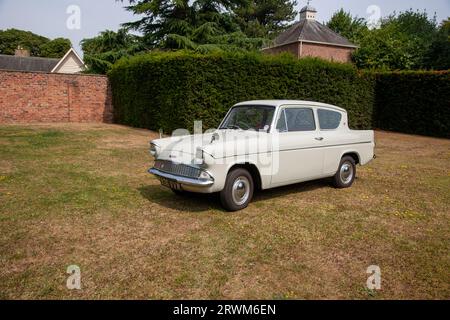Ford Angial 1200 Delux, zweitürige Limousine, geparkt auf Gras in einer von Mauern umgebenen Garde mit einer hohen Hecke dahinter Stockfoto