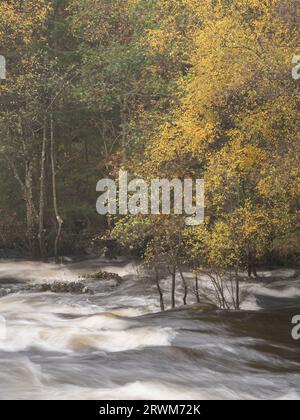 Hochwasser des Flusses Tummel an der Tummel Bridge, Highland Perthshire, Schottland, Vereinigtes Königreich Stockfoto