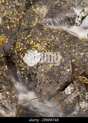 Hochwasser des Flusses Tummel an der Tummel Bridge, Highland Perthshire, Schottland, Vereinigtes Königreich Stockfoto