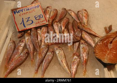 Meeresfrüchte zum Verkauf auf dem Varvakios Central Municipal Market, Athen, Griechenland Stockfoto