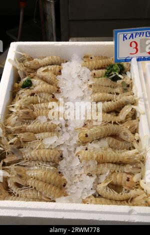 Meeresfrüchte zum Verkauf auf dem Varvakios Central Municipal Market, Athen, Griechenland Stockfoto