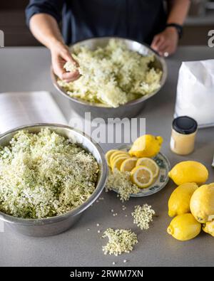 Dieses Bild zeigt den Prozess der Herstellung von Holunderblütensirup. Auf dem Tisch sind zwei Schalen Holunderblüten zu sehen, in denen Zitronen verstreut sind Stockfoto