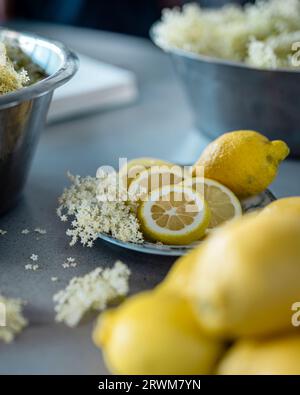 Dieses Bild zeigt den Prozess der Herstellung von Holunderblütensirup. Auf dem Tisch sind zwei Schalen Holunderblüten zu sehen, in denen Zitronen verstreut sind Stockfoto