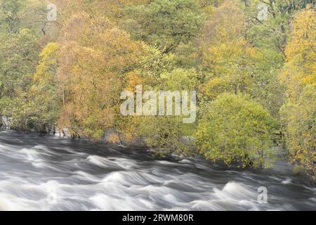 Hochwasser des Flusses Tummel an der Tummel Bridge, Highland Perthshire, Schottland, Vereinigtes Königreich Stockfoto