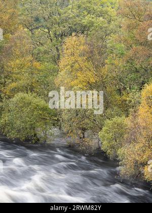 Hochwasser des Flusses Tummel an der Tummel Bridge, Highland Perthshire, Schottland, Vereinigtes Königreich Stockfoto