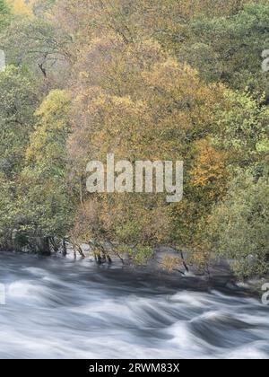 Hochwasser des Flusses Tummel an der Tummel Bridge, Highland Perthshire, Schottland, Vereinigtes Königreich Stockfoto