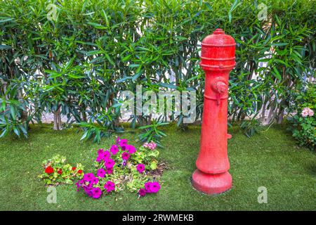 Rote Hydrantenleitung am Gras Stockfoto