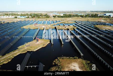 (230920) -- DAQING, 20. September 2023 (Xinhua) -- dieses Luftfoto vom 19. September 2023 zeigt einen Teil des Xinghuo-Photovoltaikkraftwerks für Wasseroberflächen von Daqing Oilfield unter PetroChina in Daqing, nordöstliche chinesische Provinz Heilongjiang. Dieses Kraftwerk verfügt über eine installierte Kapazität von 18,73 Megawatt, und seine durchschnittliche jährliche Stromerzeugung entspricht der durch die Verbrennung von 8400 Tonnen Standardkohle erzeugten Stromerzeugung, wodurch wiederum die Kohlendioxidemissionen um 22.000 Tonnen gesenkt werden. Die Station hat seit ihrer Inbetriebnahme am 30. Juni 2022 33 Millionen kWh Strom erwirtschaftet. (Xin Stockfoto