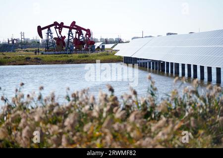 (230920) -- DAQING, 20. September 2023 (Xinhua) -- dieses Foto, das am 19. September 2023 aufgenommen wurde, zeigt einen Teil des Xinghuo-Photovoltaikkraftwerks der Wasseroberfläche von Daqing Oilfield unter PetroChina in Daqing, nordöstliche chinesische Provinz Heilongjiang. Dieses Kraftwerk verfügt über eine installierte Kapazität von 18,73 Megawatt, und seine durchschnittliche jährliche Stromerzeugung entspricht der durch die Verbrennung von 8400 Tonnen Standardkohle erzeugten Stromerzeugung, wodurch wiederum die Kohlendioxidemissionen um 22.000 Tonnen gesenkt werden. Die Station hat seit ihrer Inbetriebnahme am 30. Juni 2022 33 Millionen kWh Strom erwirtschaftet. (Xinhua/Wan Stockfoto