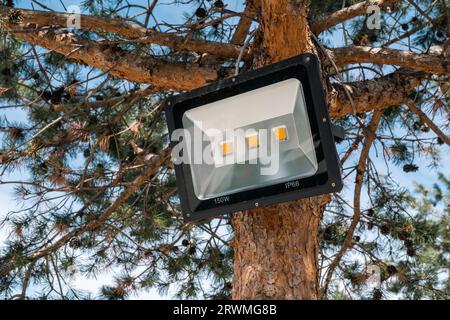 Am Baum hängender Außenprojektor Stockfoto