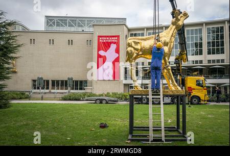 UTRECHT - die Installation der großen goldenen Kalbsstatue, der Ikone des niederländischen Filmfestivals (NFF) in der Stadschouwburg Utrecht. Utrecht wird eineinhalb Wochen lang in Filmhauptstadt der Niederlande umbenannt, wo die neuesten Spielfilme, Dokumentarfilme, Animationen, Kurzfilme, Serien und VR-Produktionen präsentiert werden. ANP JEROEN JUMELET niederlande raus - belgien raus Stockfoto