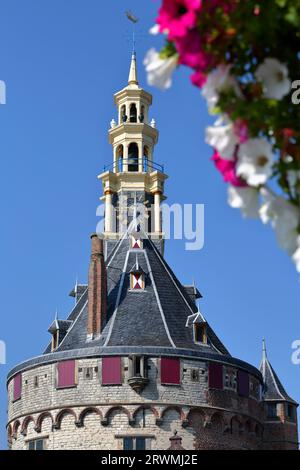 Nahaufnahme der Hoofdtoren (der Kopfturm) am Hafen (Binnenhaven) von Hoorn, Westfriesland, Niederlande Stockfoto