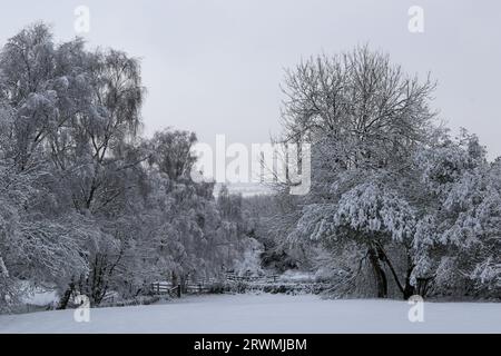 Schneeszene in London, Großbritannien Stockfoto