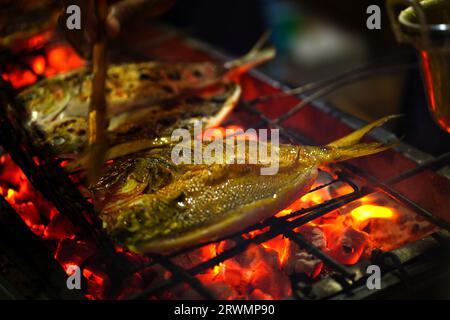 Traditionelles indonesisches gegrilltes Fischgericht, mariniert in einer Mischung aus Gewürzen und Kräutern, dann über einem großen Feuer gegrillt. Das Ergebnis ist ein würziger und saftiger F Stockfoto