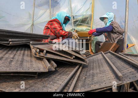 LUANNAN COUNTY, China - 18. April 2022: Bauern säen Reissaaten in Reissämlinge auf Farmen, Nordchina Stockfoto