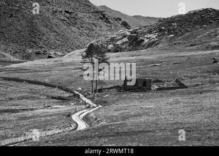 Die Ruinen der walisischen methodistenkapelle werden von der Natur Cwmorthin Slate Quarry in Nordwales zurückerobert Stockfoto