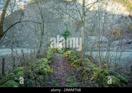 Pfad mit Steinen bedeckt mit Moos und Frost während der Herbstsaison - Hallstatt, Österreich Stockfoto