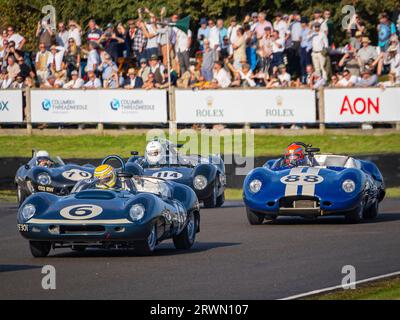 Jaguars fahren beim Sussex Trophy Rennen im Goodwood Revival, West Sussex UK Stockfoto