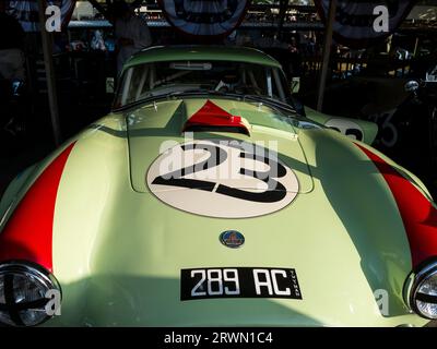 AC Cobra im Fahrerlager des Goodwood Revival, West Sussex UK Stockfoto